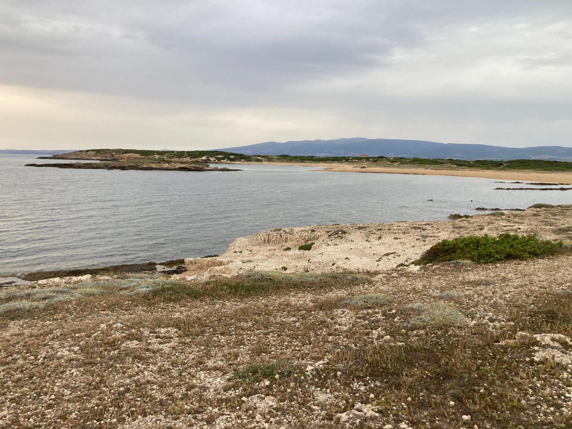 Fronte Mare S'Arena Scoada Apartment Putzu Idu Luaran gambar